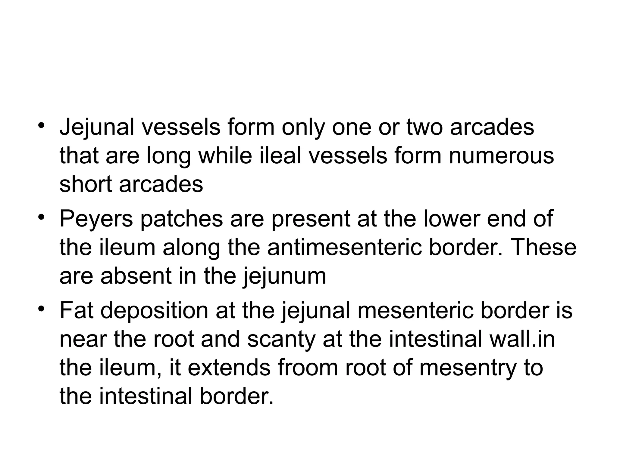 • Jejunal vessels form only one or two arcades
that are long while ileal vessels form numerous
short arcades
• Peyers patches are present at the lower end of
the ileum along the antimesenteric border. These
are absent in the jejunum
• Fat deposition at the jejunal mesenteric border is
near the root and scanty at the intestinal wall.in
the ileum, it extends froom root of mesentry to
the intestinal border.
 