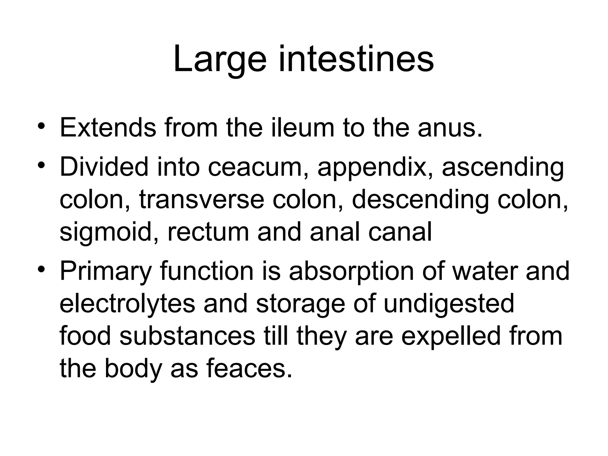 Large intestines
• Extends from the ileum to the anus.
• Divided into ceacum, appendix, ascending
colon, transverse colon, descending colon,
sigmoid, rectum and anal canal
• Primary function is absorption of water and
electrolytes and storage of undigested
food substances till they are expelled from
the body as feaces.
 