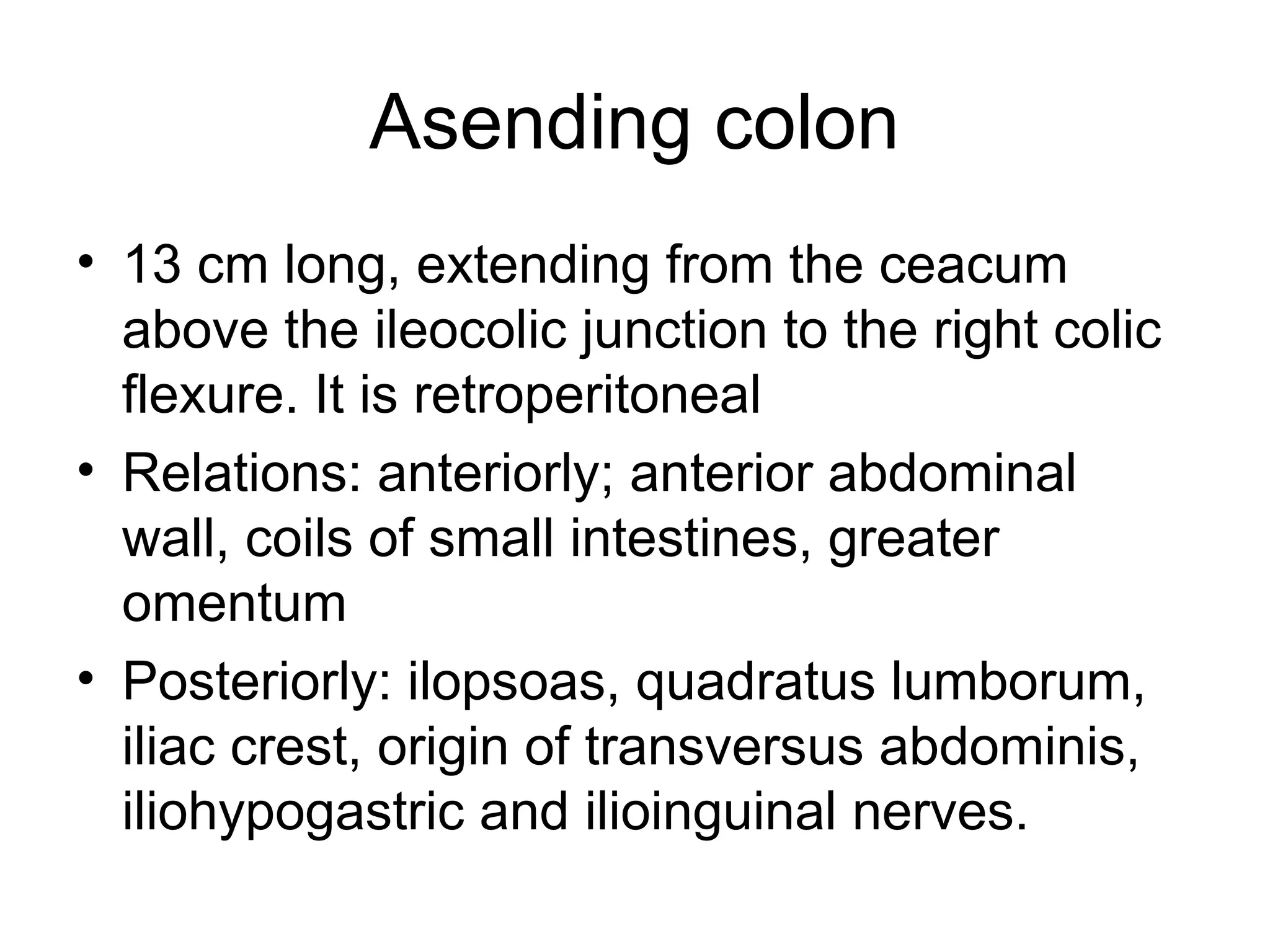 Asending colon
• 13 cm long, extending from the ceacum
above the ileocolic junction to the right colic
flexure. It is retroperitoneal
• Relations: anteriorly; anterior abdominal
wall, coils of small intestines, greater
omentum
• Posteriorly: ilopsoas, quadratus lumborum,
iliac crest, origin of transversus abdominis,
iliohypogastric and ilioinguinal nerves.
 