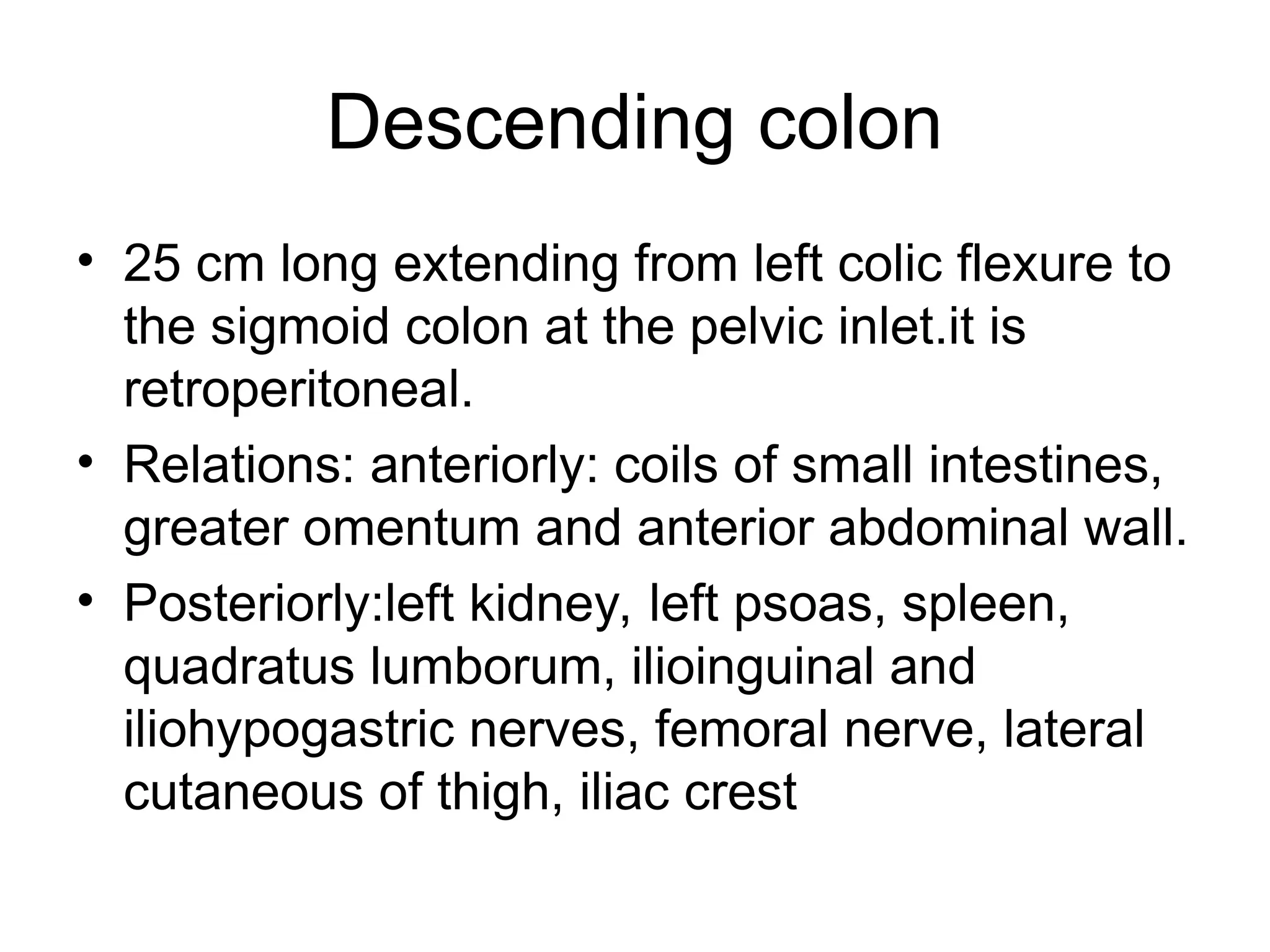 Descending colon
• 25 cm long extending from left colic flexure to
the sigmoid colon at the pelvic inlet.it is
retroperitoneal.
• Relations: anteriorly: coils of small intestines,
greater omentum and anterior abdominal wall.
• Posteriorly:left kidney, left psoas, spleen,
quadratus lumborum, ilioinguinal and
iliohypogastric nerves, femoral nerve, lateral
cutaneous of thigh, iliac crest
 