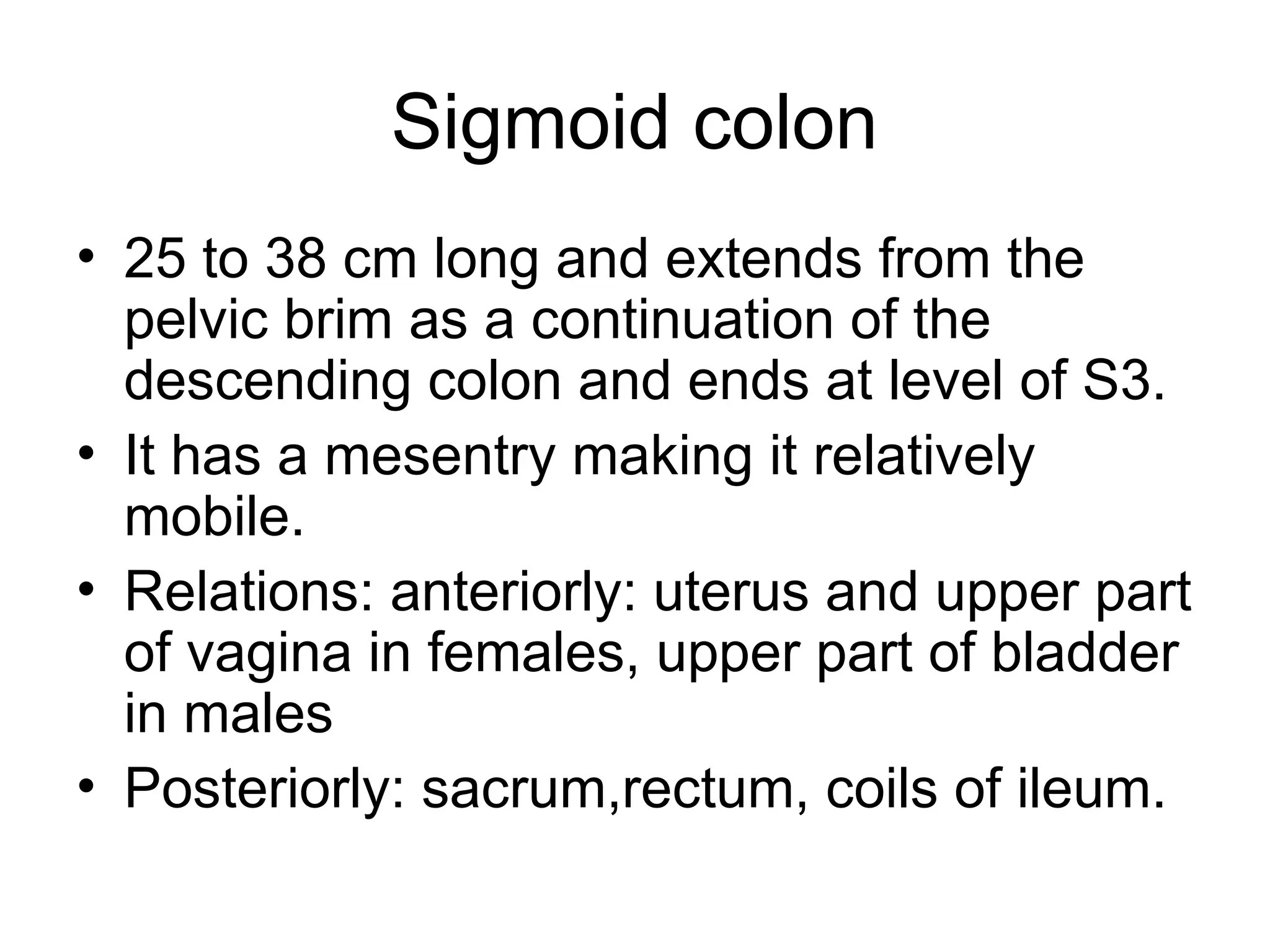 Sigmoid colon
• 25 to 38 cm long and extends from the
pelvic brim as a continuation of the
descending colon and ends at level of S3.
• It has a mesentry making it relatively
mobile.
• Relations: anteriorly: uterus and upper part
of vagina in females, upper part of bladder
in males
• Posteriorly: sacrum,rectum, coils of ileum.
 