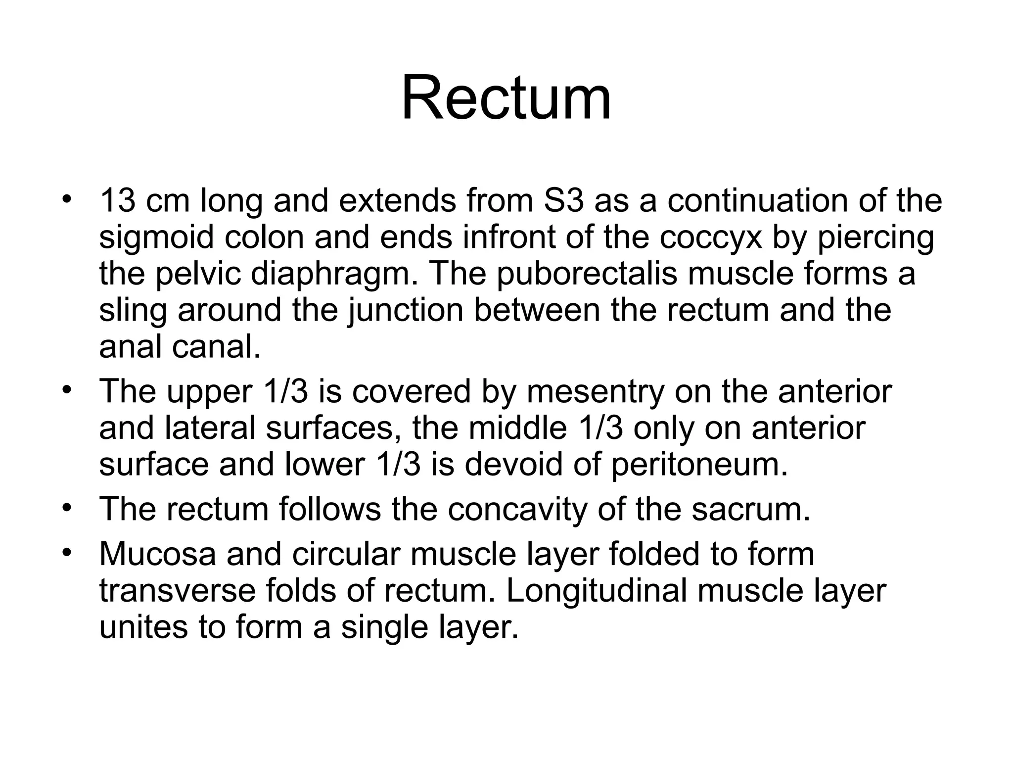 Rectum
• 13 cm long and extends from S3 as a continuation of the
sigmoid colon and ends infront of the coccyx by piercing
the pelvic diaphragm. The puborectalis muscle forms a
sling around the junction between the rectum and the
anal canal.
• The upper 1/3 is covered by mesentry on the anterior
and lateral surfaces, the middle 1/3 only on anterior
surface and lower 1/3 is devoid of peritoneum.
• The rectum follows the concavity of the sacrum.
• Mucosa and circular muscle layer folded to form
transverse folds of rectum. Longitudinal muscle layer
unites to form a single layer.
 