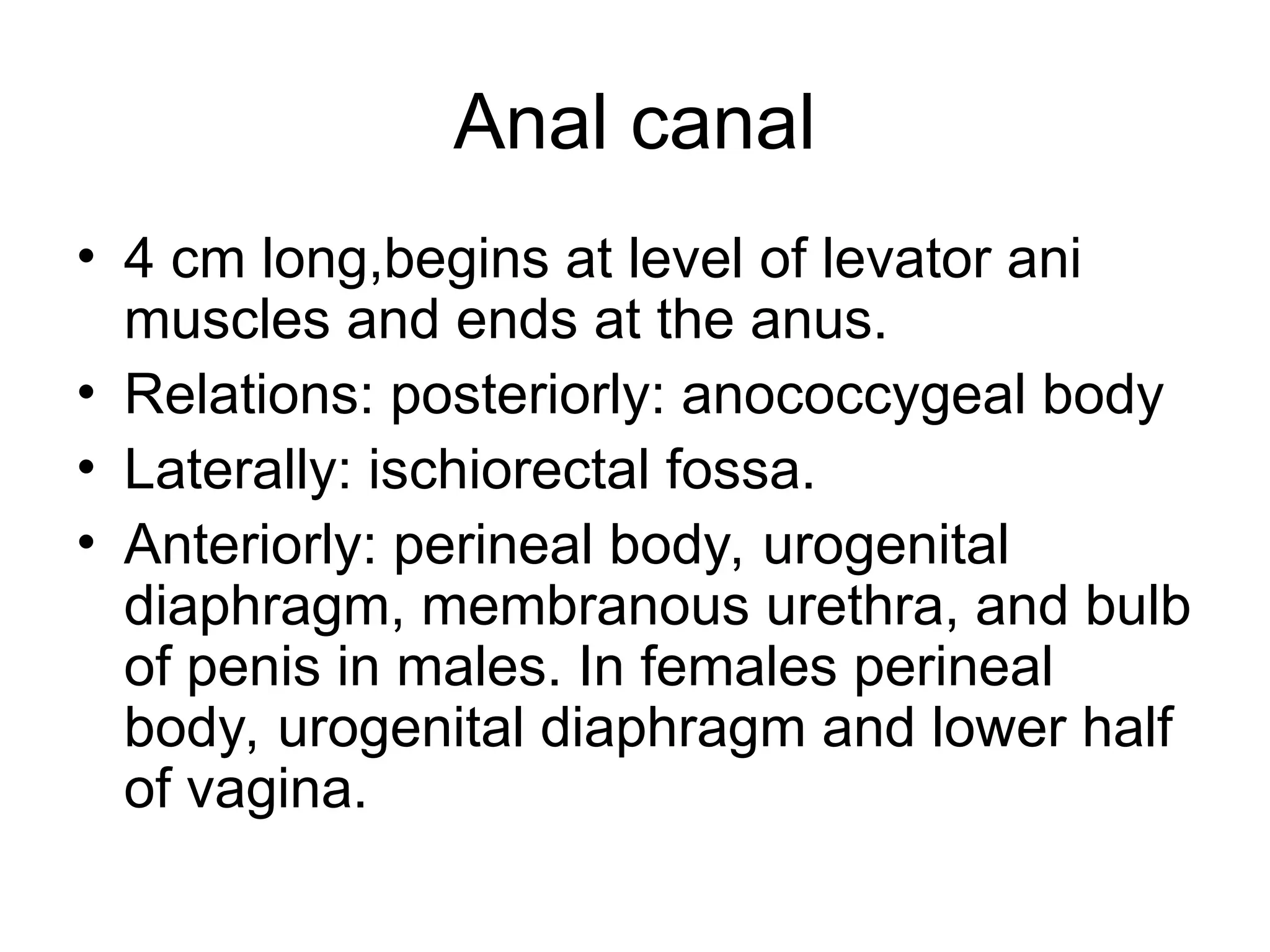 Anal canal
• 4 cm long,begins at level of levator ani
muscles and ends at the anus.
• Relations: posteriorly: anococcygeal body
• Laterally: ischiorectal fossa.
• Anteriorly: perineal body, urogenital
diaphragm, membranous urethra, and bulb
of penis in males. In females perineal
body, urogenital diaphragm and lower half
of vagina.
 