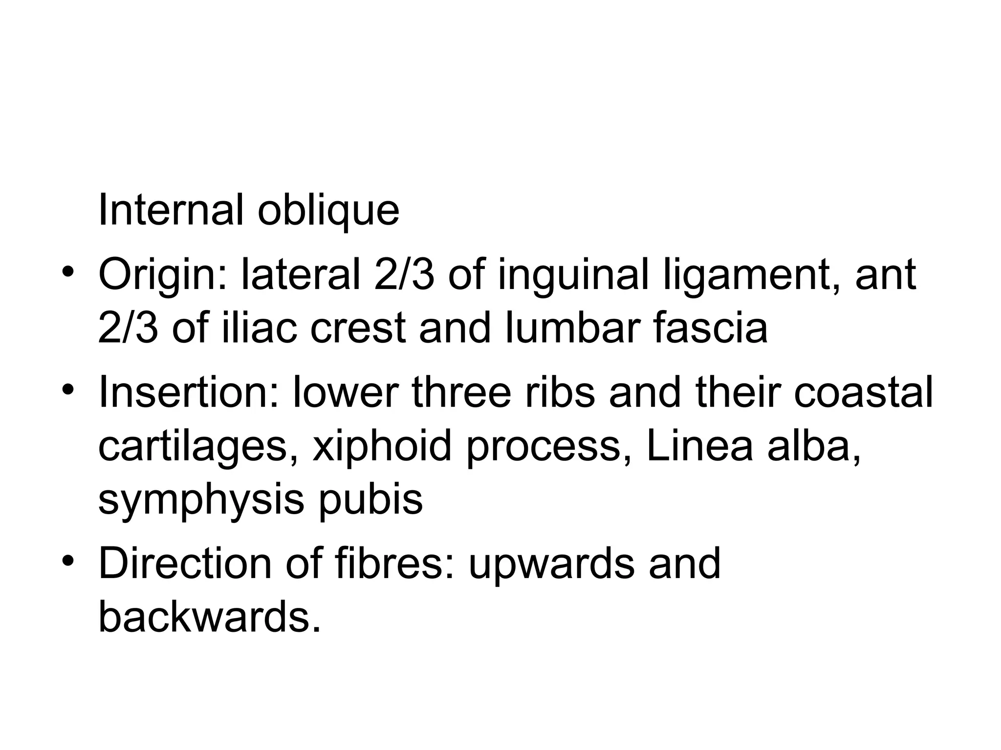 Internal oblique
• Origin: lateral 2/3 of inguinal ligament, ant
2/3 of iliac crest and lumbar fascia
• Insertion: lower three ribs and their coastal
cartilages, xiphoid process, Linea alba,
symphysis pubis
• Direction of fibres: upwards and
backwards.
 