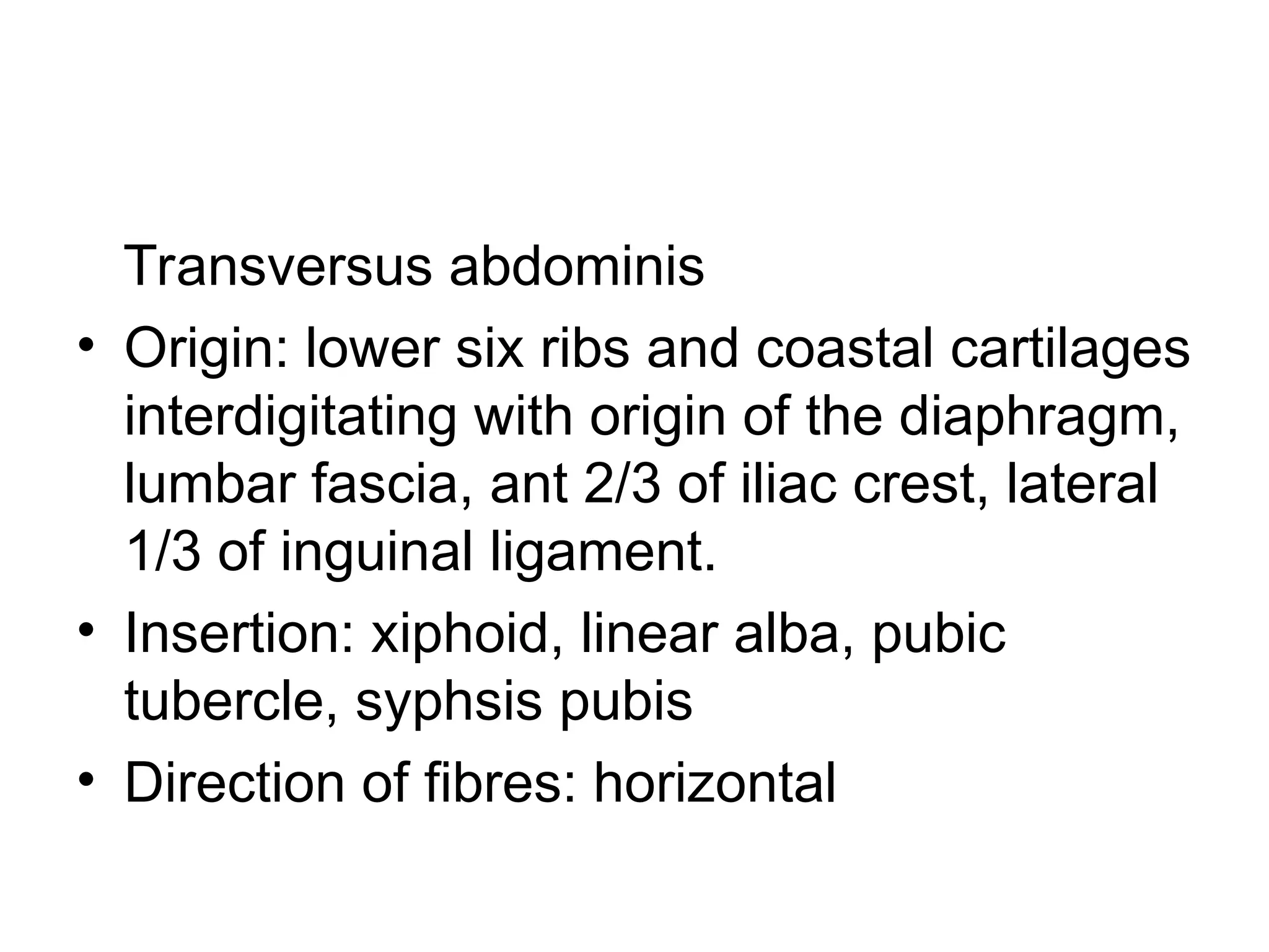 Transversus abdominis
• Origin: lower six ribs and coastal cartilages
interdigitating with origin of the diaphragm,
lumbar fascia, ant 2/3 of iliac crest, lateral
1/3 of inguinal ligament.
• Insertion: xiphoid, linear alba, pubic
tubercle, syphsis pubis
• Direction of fibres: horizontal
 