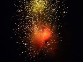 2 thrissur pooram