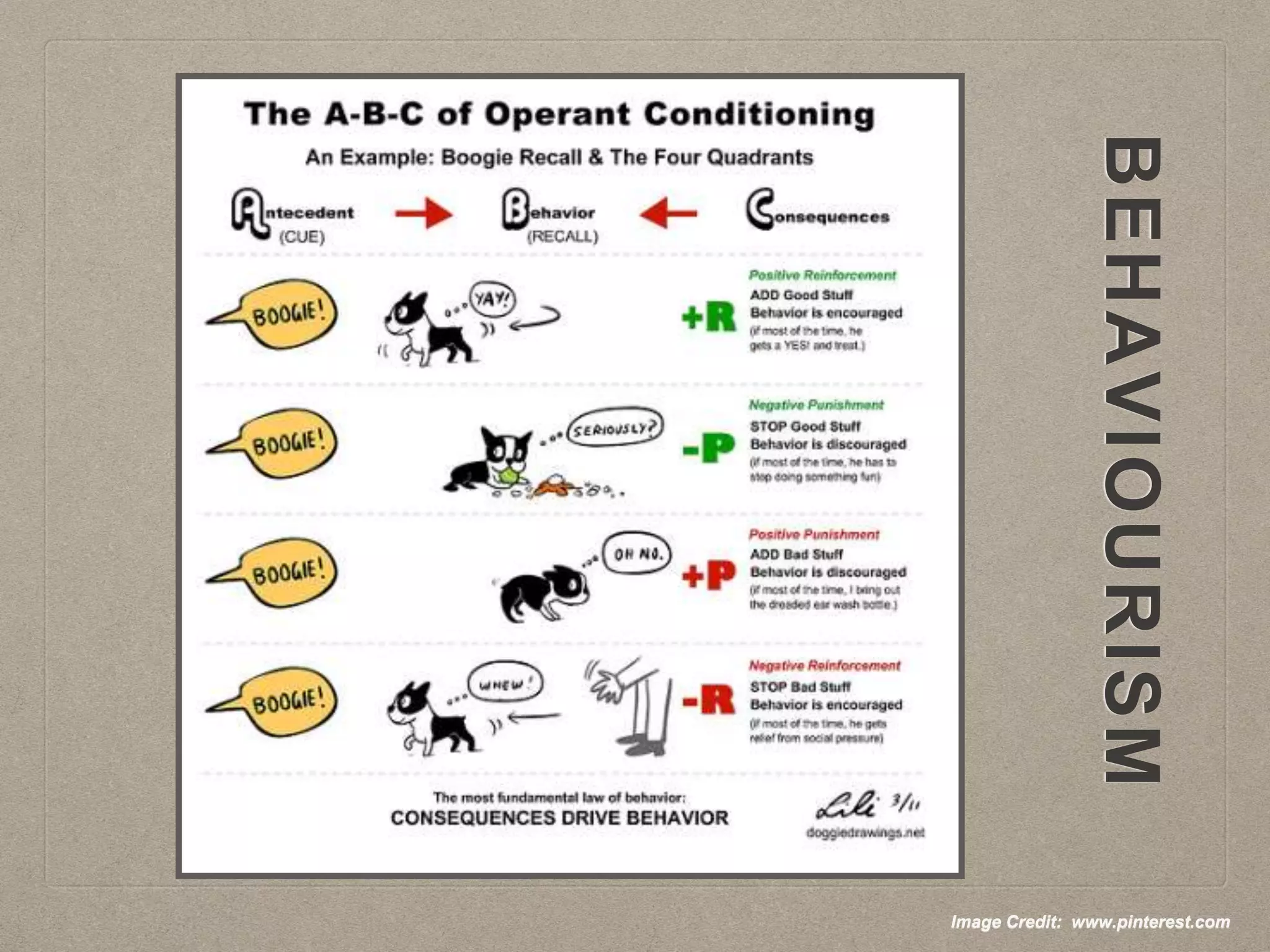 Image Credit: www.pinterest.com
 