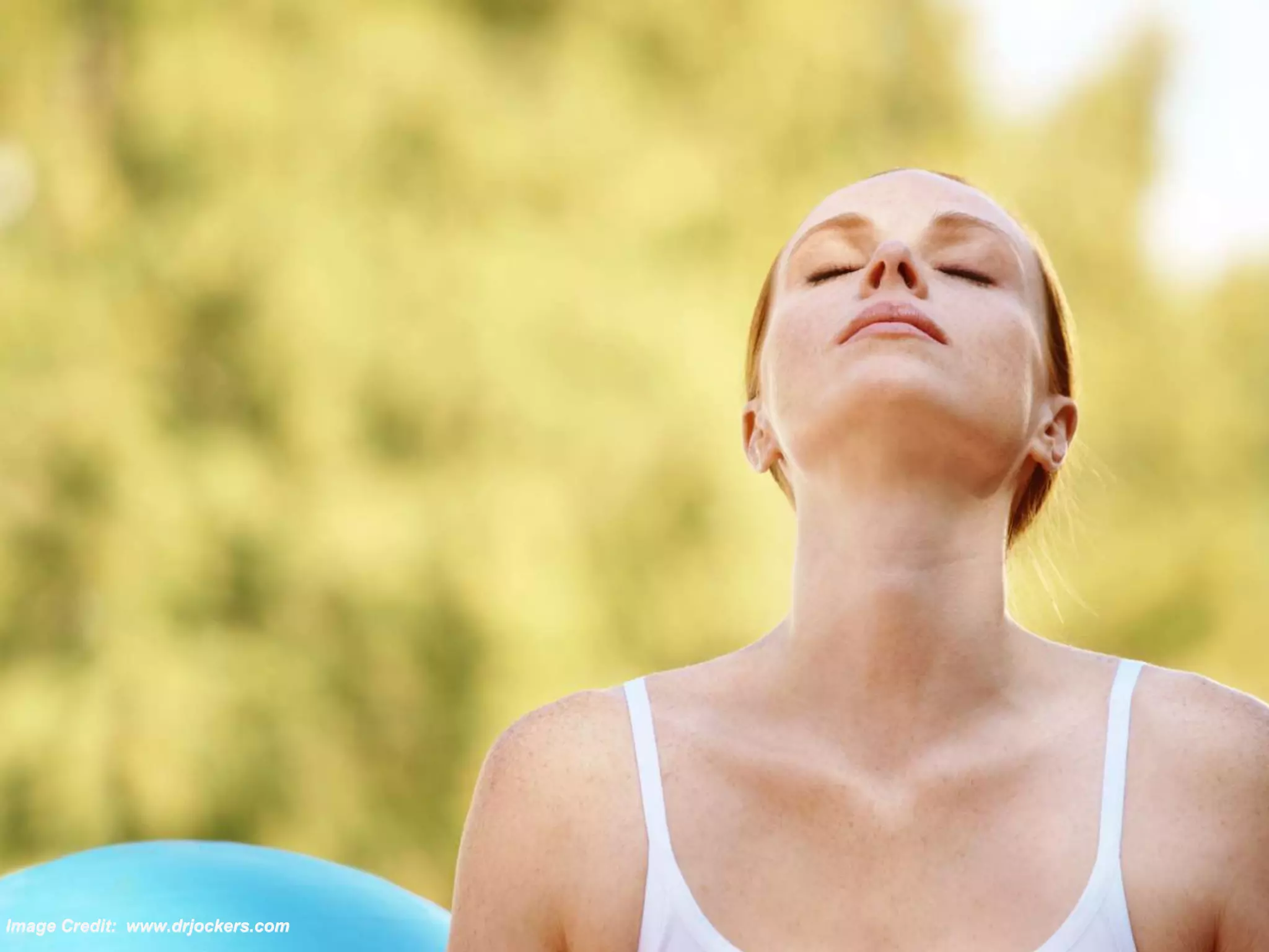 Image Credit: www.drjockers.com
 