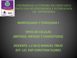 UNIVERSIDAD AUTONOMA DE CHIHUAHUA
 FACULTAD DE ENFERMERIA Y NUTRIOLOGIA
            LIC. ENFERMERIA



  MORFOLOGIA Y FISIOLOGIA I

       TIPOS DE CELULAS
(MITOSIS, MEIOSIS Y FAGOCITOSIS)

DOCENTE: L.E M.Q MANUEL TREJO
 EST. LIC. ENF CHRISTIAN FLORES
 