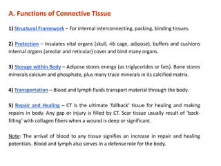 Comprehensive Applied Anatomy: Germ Layers, Tissues, and Connective ...