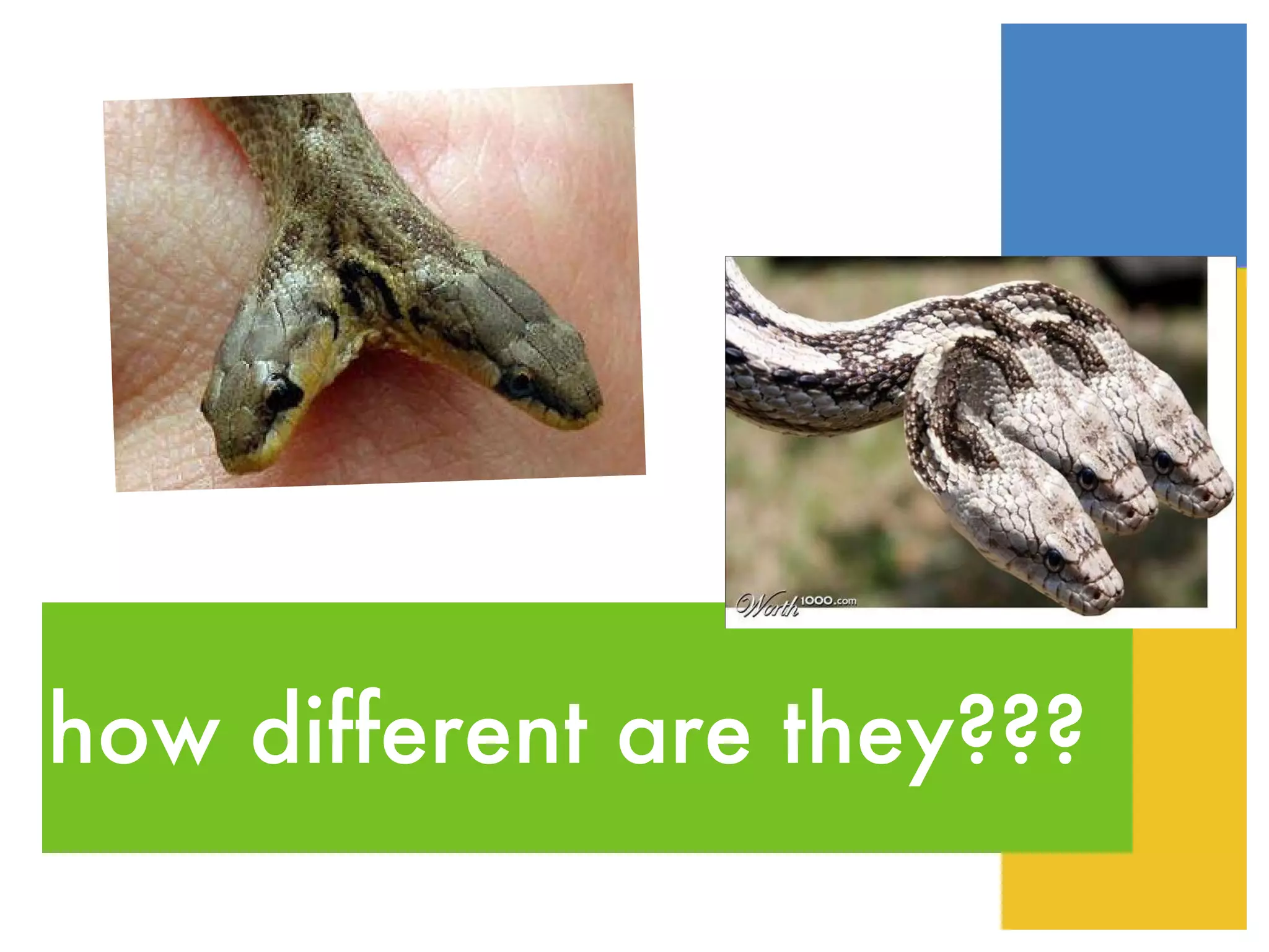 how different are they??? 