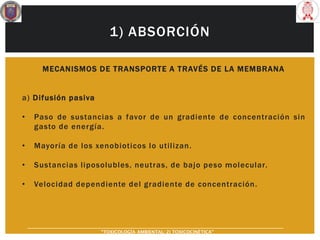 1) ABSORCIÓN
MECANISMOS DE TRANSPORTE A TRAVÉS DE LA MEMBRANA
a) Difusión pasiva
• Paso de sustancias a favor de un gradiente de concentración sin
gasto de energía.
• Mayoría de los xenobioticos lo utilizan.
• Sustancias liposolubles, neutras, de bajo peso molecular.
• Velocidad dependiente del gradiente de concentración.
“TOXICOLOGÍA AMBIENTAL: 2) TOXICOCINÉTICA"
 