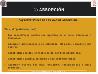 1) ABSORCIÓN
CARACTERÍSTICAS DE LAS VÍAS DE ABSORCIÓN
Vía oral (gastrointestinal)
• Los xenobióticos pueden ser ingeridos en el agua, alimentos o
inhalados.
• Absorción principalmente en estómago (pH acido) y duodeno (pH
neutro).
• Xenobióticos ácidos, en medio ácido, son bien absorbidos.
• Xenobióticos básicos, en medio ácido, mal absorbidos.
• Absorción cuando hay baja ionización, liposolubilidad y peso
molecular.
“TOXICOLOGÍA AMBIENTAL: 2) TOXICOCINÉTICA"
 