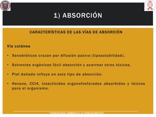 1) ABSORCIÓN
CARACTERÍSTICAS DE LAS VÍAS DE ABSORCIÓN
Vía cutánea
• Xenobióticos cruzan por difusión pasiva (liposolubilidad).
• Solventes orgánicos fácil absorción y acarrear otros tóxicos.
• Piel dañada influye en este tipo de absorción.
• Hexano, CCl4, insecticidas organofosforados absorbidos y tóxicos
para el organismo.
“TOXICOLOGÍA AMBIENTAL: 2) TOXICOCINÉTICA"
 