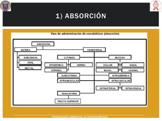 1) ABSORCIÓN
“TOXICOLOGÍA AMBIENTAL: 2) TOXICOCINÉTICA"
 