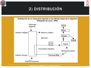 2) DISTRIBUCIÓN
“TOXICOLOGÍA AMBIENTAL: 2) TOXICOCINÉTICA"
 