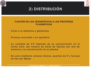 2) DISTRIBUCIÓN
FIJACIÓN DE LOS XENOBIÓTICOS A LAS PROTEÍNAS
PLASMÁTICAS
 Unión a la albúmina o globulinas
 Proceso reversible y en equilibrio
 La cantidad de X-P depende de su concentración en la
forma libre, del número de sitios de fijación por mol de
proteína y la concentración en el plasma.
 Se unen mediante enlaces iónicos, puentes de H y fuerzas
de Van der Waals
“TOXICOLOGÍA AMBIENTAL: 2) TOXICOCINÉTICA"
 