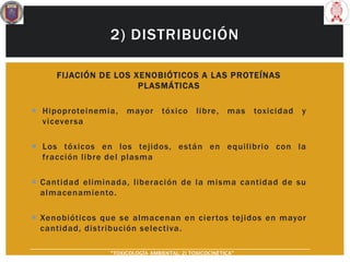 2) DISTRIBUCIÓN
FIJACIÓN DE LOS XENOBIÓTICOS A LAS PROTEÍNAS
PLASMÁTICAS
 Hipoproteinemia, mayor tóxico libre, mas toxicidad y
viceversa
 Los tóxicos en los tejidos, están en equilibrio con la
fracción libre del plasma
 Cantidad eliminada, liberación de la misma cantidad de su
almacenamiento.
 Xenobióticos que se almacenan en ciertos tejidos en mayor
cantidad, distribución selectiva.
“TOXICOLOGÍA AMBIENTAL: 2) TOXICOCINÉTICA"
 