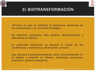 3) BIOTRANSFORMACIÓN
 Proceso en que se modifica la estructura molecular de
los xenobioticos y su actividad biológica.
 Se obtienen productos más polares (hidrosolubles) y
diferentes al original.
 La polaridad disminuye su difusión a través de las
membranas y aumenta su eliminación urinaria.
 Las enzimas biotransformadoras están principalmente en
el hígado y también en riñones, intestinos, pulmones,
placenta y plasma sanguíneo.
“TOXICOLOGÍA AMBIENTAL: 2) TOXICOCINÉTICA"
 