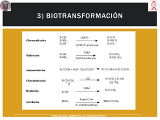 3) BIOTRANSFORMACIÓN
“TOXICOLOGÍA AMBIENTAL: 2) TOXICOCINÉTICA"
 