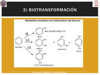 3) BIOTRANSFORMACIÓN
“TOXICOLOGÍA AMBIENTAL: 2) TOXICOCINÉTICA"
 