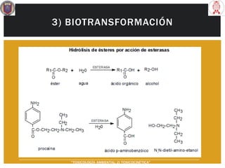 3) BIOTRANSFORMACIÓN
“TOXICOLOGÍA AMBIENTAL: 2) TOXICOCINÉTICA"
 