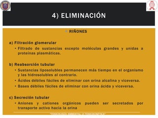 4) ELIMINACIÓN
 RIÑONES
a) Filtración glomerular
• Filtrado de sustancias excepto moléculas grandes y unidas a
proteínas plasmáticas.
b) Reabsorción tubular
• Sustancias liposolubles permanecen más tiempo en el organismo
y las hidrosolubles al contrario.
• Ácidos débiles fáciles de eliminar con orina alcalina y viceversa.
• Bases débiles fáciles de eliminar con orina ácida y viceversa.
c) Secreción tubular
• Aniones y cationes orgánicos pueden ser secretados por
transporte activo hacia la orina
“TOXICOLOGÍA AMBIENTAL: 2) TOXICOCINÉTICA"
 