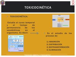  TOXICOCINÉTICA:
Estudia el curso temporal
y el tiempo de
permanencia de los
xenobióticos en el
organismo, Es decir:
TOXICOCINÉTICA
 Es el estudio de los
proceso de:
1) ABSORCIÓN
2) DISTRIBUCIÓN
3) BIOTRANSFORMACIÓN
4) ELIMINACIÓN
“TOXICOLOGÍA AMBIENTAL: 2) TOXICOCINÉTICA"
 