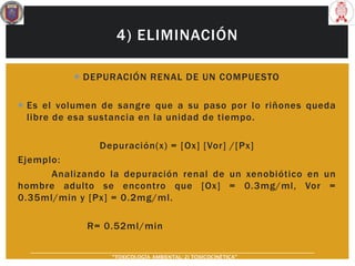 4) ELIMINACIÓN
 DEPURACIÓN RENAL DE UN COMPUESTO
 Es el volumen de sangre que a su paso por lo riñones queda
libre de esa sustancia en la unidad de tiempo.
Depuración(x) = [Ox] [Vor] /[Px]
Ejemplo:
Analizando la depuración renal de un xenobiótico en un
hombre adulto se encontro que [Ox] = 0.3mg/ml, Vor =
0.35ml/min y [Px] = 0.2mg/ml.
R= 0.52ml/min
“TOXICOLOGÍA AMBIENTAL: 2) TOXICOCINÉTICA"
 