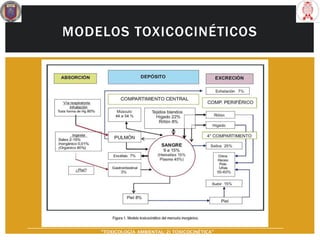 MODELOS TOXICOCINÉTICOS
“TOXICOLOGÍA AMBIENTAL: 2) TOXICOCINÉTICA"
 