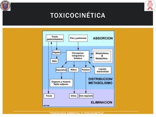 TOXICOCINÉTICA
“TOXICOLOGÍA AMBIENTAL: 2) TOXICOCINÉTICA"
 