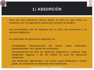 1) ABSORCIÓN
 Paso de una sustancia tóxica desde el sitio en que entra en
contacto con el organismo hasta que alcanza la sangre.
 Las principales vías de ingreso son la piel, los pulmones y el
aparato digestivo.
 La velocidad de absorción depende de:
▪ Propiedades fisicoquímicas del tóxico (peso molecular,
liposolubilidad, pH y grado de ionización).
▪ Características del sitio de absorción (superficie y espesor, flujo
sanguíneo regional y pH del medio en caso de absorción
intestinal).
▪ Las moléculas liposolubles, con menor peso molecular y menor
grado de ionización se absorben más fácilmente.
“TOXICOLOGÍA AMBIENTAL: 2) TOXICOCINÉTICA"
 