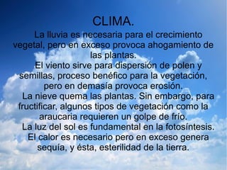 CLIMA.
La lluvia es necesaria para el crecimiento
vegetal, pero en exceso provoca ahogamiento de
las plantas.
El viento sirve para dispersión de polen y
semillas, proceso benéfico para la vegetación,
pero en demasía provoca erosión.
La nieve quema las plantas. Sin embargo, para
fructificar, algunos tipos de vegetación como la
araucaria requieren un golpe de frío.
La luz del sol es fundamental en la fotosíntesis.
El calor es necesario pero en exceso genera
sequía, y ésta, esterilidad de la tierra.

 