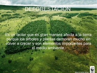 DEFORESTACIÓN.

Es un factor que en gran manera afecta a la tierra
porque los árboles y plantas demoran mucho en
volver a crecer y son elementos importantes para
el medio ambiente.

 