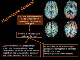 Plasticidade Cerebral Permite a aprendizagem ao longo da vida. É a capacidade do cérebro de se remodelar em função das experiências do sujeito. Quando determinadas  ár eas sofrem les ões  que comprometem as suas capacidades, os outros neur ó ni os que se encontram nas zonas vizinhas assumem as fun ç õ es das  ár eas danificadas. . As experi ê ncias feitas com cegos adultos que come ça ram a aprender Braille veio provar neuroadaptabilidade do c ér ebro. 