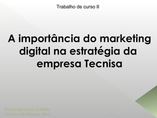 A importância do marketing
digital na estratégia da
empresa Tecnisa
Pedro Henrique Castilho
Vinicius de Oliveira Silva
Trabalho de curso II
 