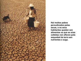 Hai moitos pobos perxudicados polas secas, e os seus habitantes quedan sen alimentos xa que as súas colleitas non afloran pola sequedad da terra sen nutrientes e auga. 