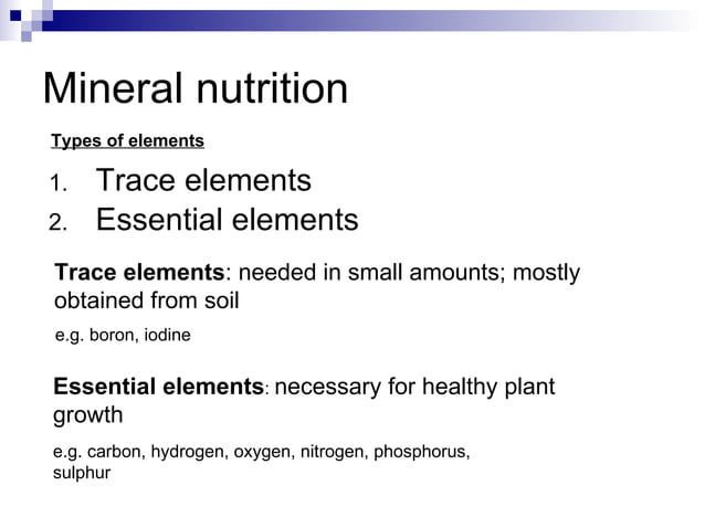 Chapter 7 Nutrition in Plants Lesson 2 - Transport of water and mineral ...