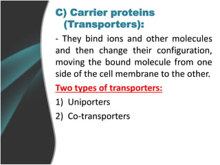 C) Carrier proteins
(Transporters):
- They bind ions and other molecules
and then change their configuration,
moving the bound molecule from one
side of the cell membrane to the other.
Two types of transporters:
1) Uniporters
2) Co-transporters
 