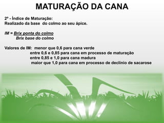 MATURAÇÃO DA CANA
2º - Índice de Maturação:
Realizado da base do colmo ao seu ápice.

IM = Brix ponta do colmo
      Brix base do colmo

Valores de IM: menor que 0,6 para cana verde
             entre 0,6 e 0,85 para cana em processo de maturação
             entre 0,85 e 1,0 para cana madura
              maior que 1,0 para cana em processo de declínio de sacarose
 