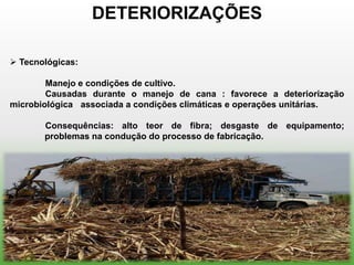 DETERIORIZAÇÕES

 Tecnológicas:

        Manejo e condições de cultivo.
        Causadas durante o manejo de cana : favorece a deteriorização
microbiológica associada a condições climáticas e operações unitárias.

       Consequências: alto teor de fibra; desgaste de equipamento;
       problemas na condução do processo de fabricação.
 