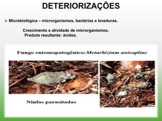 DETERIORIZAÇÕES
 Microbiológica – microrganismos, bactérias e leveduras.

         Crescimento e atividade de microrganismos.
          Produto resultante: ácidos.
 