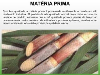 MATÉRIA PRIMA
Com boa qualidade a matéria prima é processada rapidamente e resulta em alto
rendimento industrial. O produto de alta qualidade normalmente reduz o custo por
unidade de produto, enquanto que a má qualidade provoca perdas de tempo no
processamento, maior consumo de utilidades e produtos químicos, resultando em
menor rendimento industrial e produto de qualidade inferior.
 
