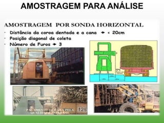 AMOSTRAGEM PARA ANÁLISE
 