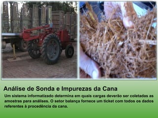 Análise de Sonda e Impurezas da Cana
Um sistema informatizado determina em quais cargas deverão ser coletadas as
amostras para análises. O setor balança fornece um ticket com todos os dados
referentes à procedência da cana.
 