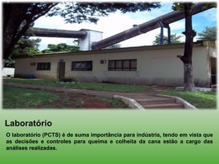Laboratório
O laboratório (PCTS) é de suma importância para indústria, tendo em vista que
as decisões e controles para queima e colheita da cana estão a cargo das
análises realizadas.
 