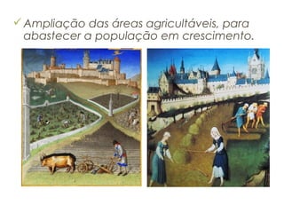 Ampliação das áreas agricultáveis, para
abastecer a população em crescimento.
 