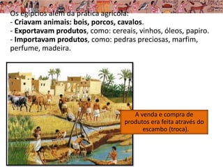 Os egípcios além da prática agrícola:
- Criavam animais: bois, porcos, cavalos.
- Exportavam produtos, como: cereais, vinhos, óleos, papiro.
- Importavam produtos, como: pedras preciosas, marfim,
perfume, madeira.
A venda e compra de
produtos era feita através do
escambo (troca).
 