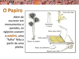 Além de
escrever em
monumentos e
paredes, os
egípcios usavam
o , uma
“folha” feita a
partir de uma
planta.
 