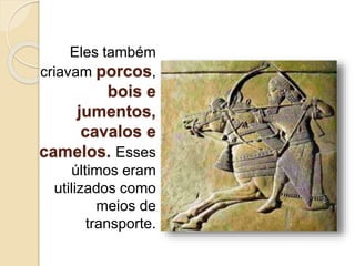 Eles também
criavam porcos,
bois e
jumentos,
cavalos e
camelos. Esses
últimos eram
utilizados como
meios de
transporte.
 